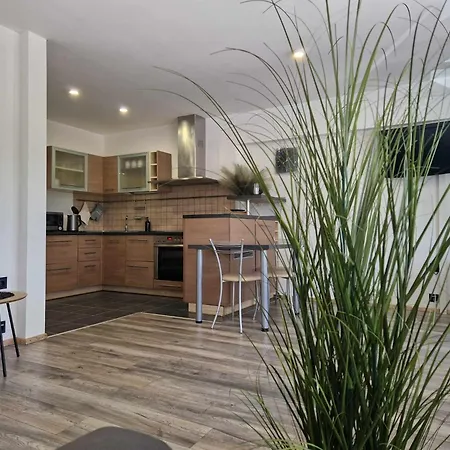 Duplex Vilte Druskininkai