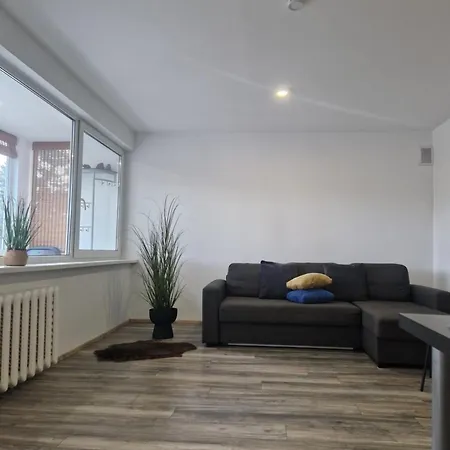 Duplex Vilte Apartment Druskininkai