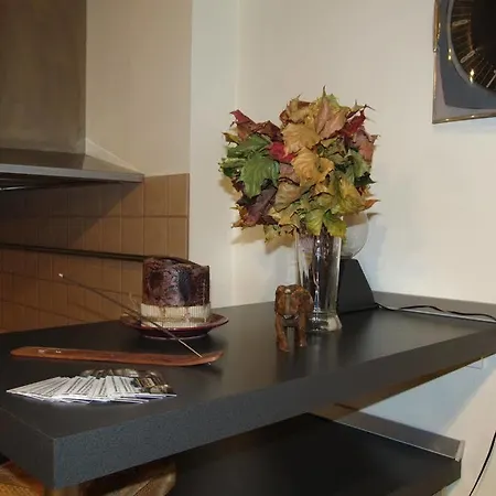 Vk Duplex Apartment *