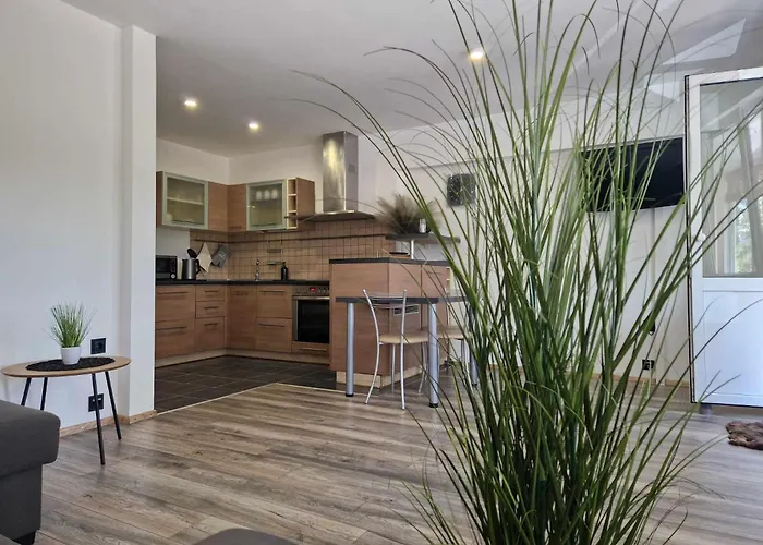 Vk Duplex Druskininkai