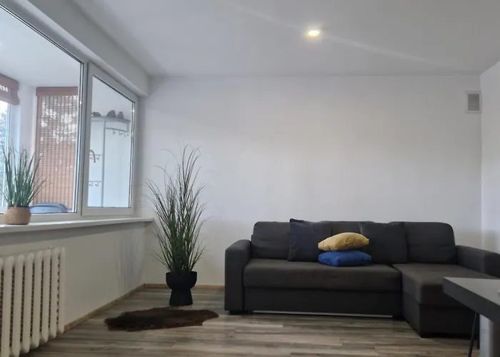 Vk Duplex Apartment Druskininkai