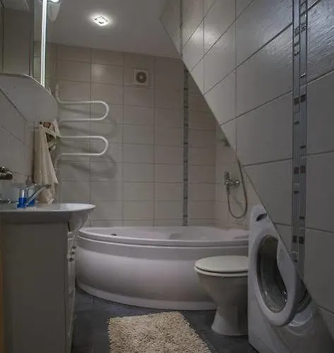 Vk Duplex Apartment Druskininkai