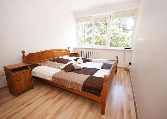 Vk Duplex Druskininkai