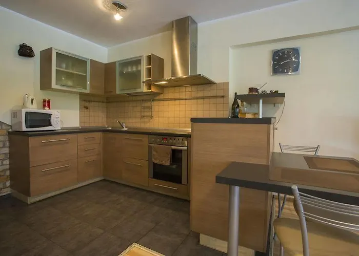 Vk Duplex Druskininkai