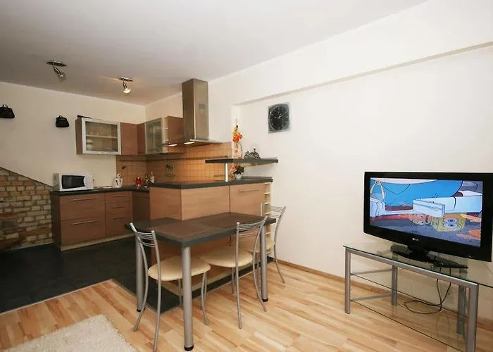 Vk Duplex Druskininkai