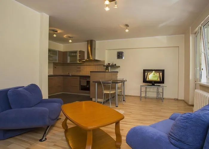 Vk Duplex Druskininkai