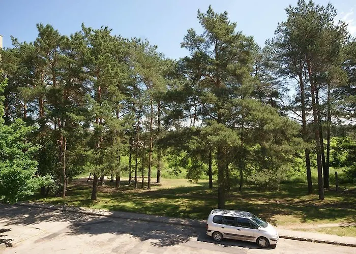 Vk Duplex Druskininkai